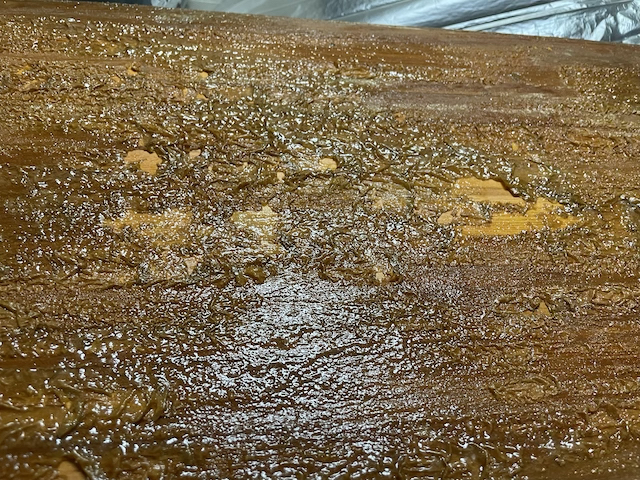 春日部アパート　塗膜剥離